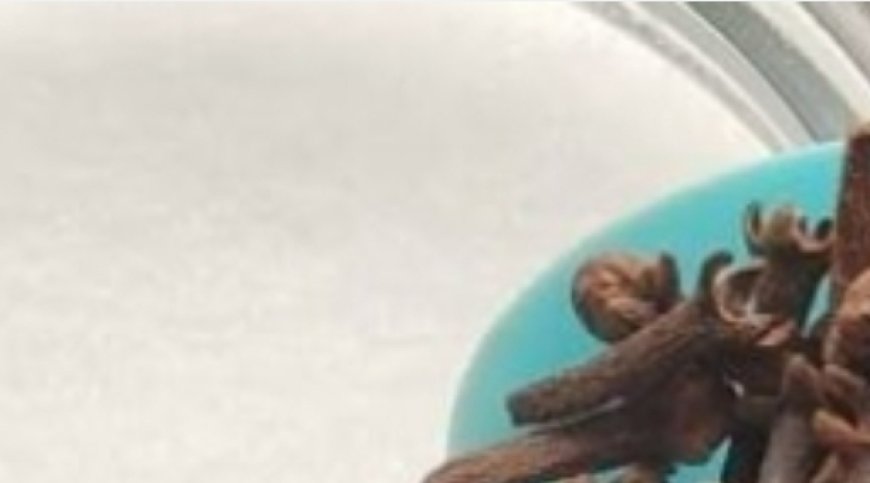 Mix Baking Soda and Cloves and Save Tons of Money!