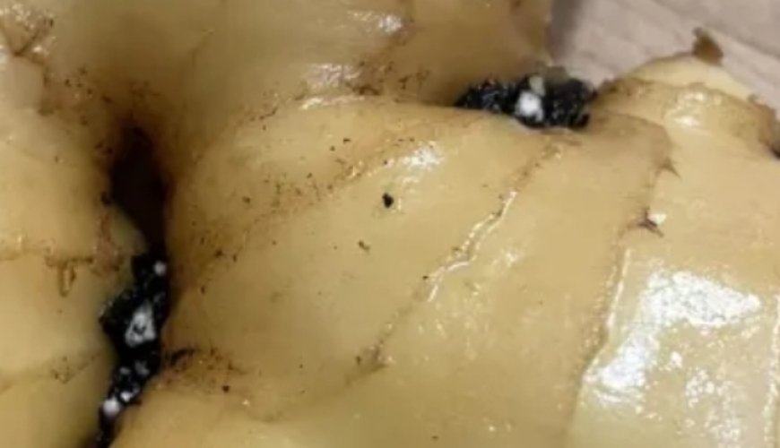 5 Amazing Benefits of Eating Ginger Every Day