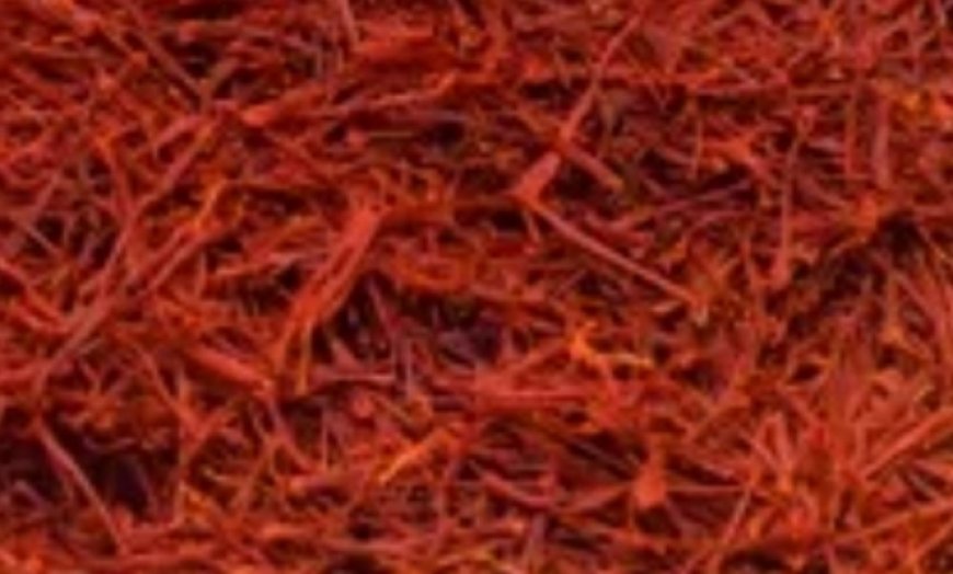 Exploring the Benefits of Sophora for Prostate Health