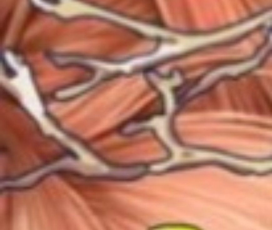 Benefits of Papaya Leaves & How to Process Them as Medicine