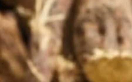 Liquorice: The Sweet Root with Surprising Benefits