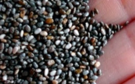 The Top 5 Health Benefits of Chia Seeds