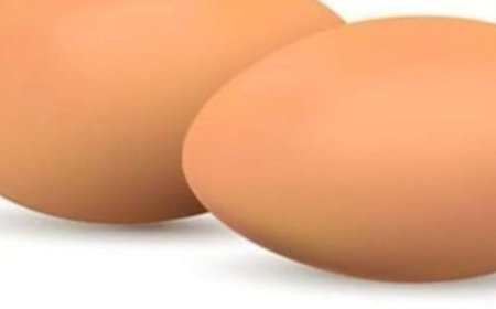 How Eggs Heal the Eyes