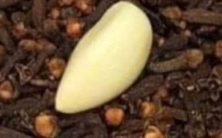 Natural Remedy for Varicose Veins: Cloves and Garlic