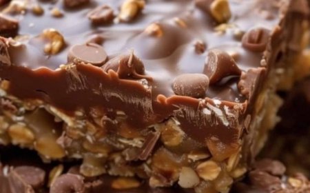 No Bake Chocolate Oat Bars