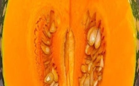 Pumpkin Rescue: A Mouthwatering Recipe for Managing Blood Sugar