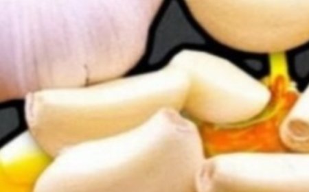 Take HONEY with GARLIC in the Morning – Here’s What Happened After 7 Days