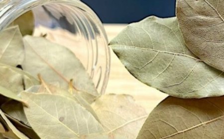 Discover the Magic of Bay Leaves for Revitalizing Your Hair