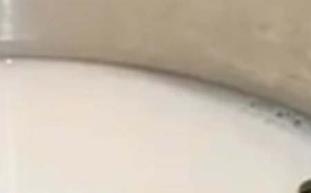 Bay Leaf, Milk, and Honey Remedy for Coughs and Congestion: A Must-Remember Recipe!