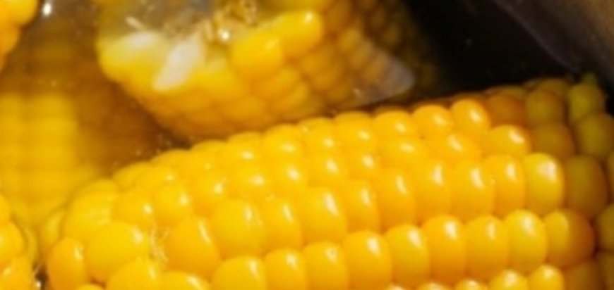 The Real Reason You Shouldn’t Boil Corn on the Cob