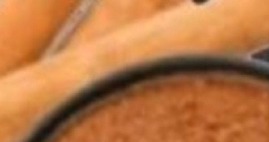 Drink Cinnamon This Way, and Here’s What Will Happen to Your Body – An Important Secret in Taking It