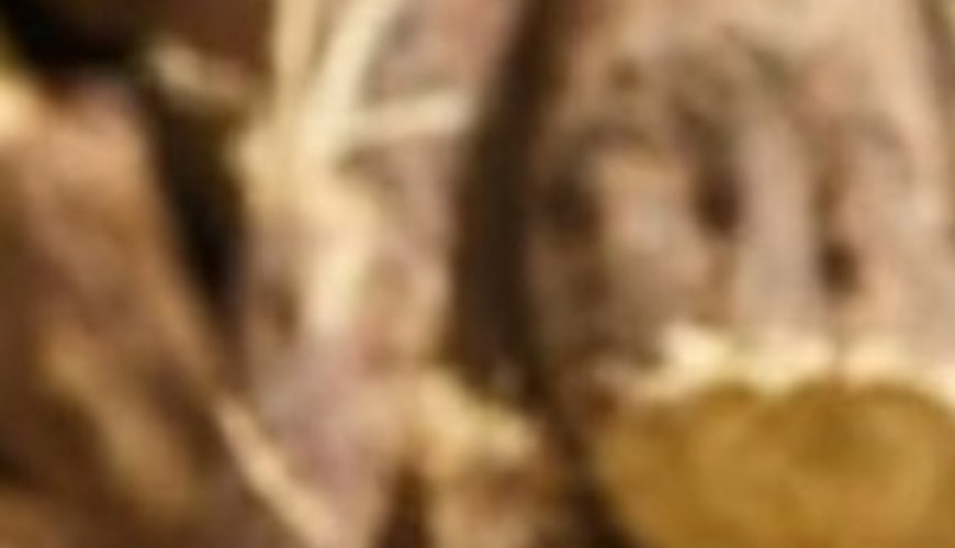 Liquorice: The Sweet Root with Surprising Benefits