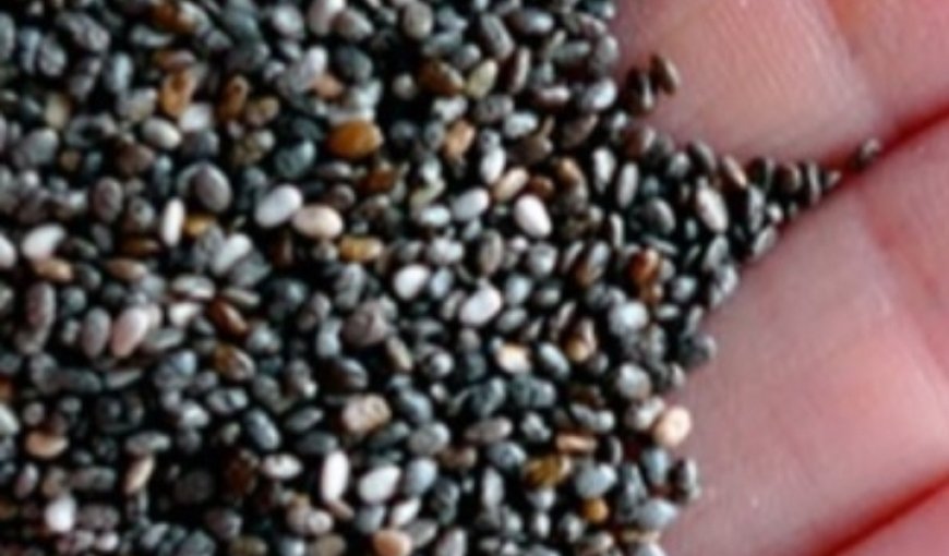 The Top 5 Health Benefits of Chia Seeds