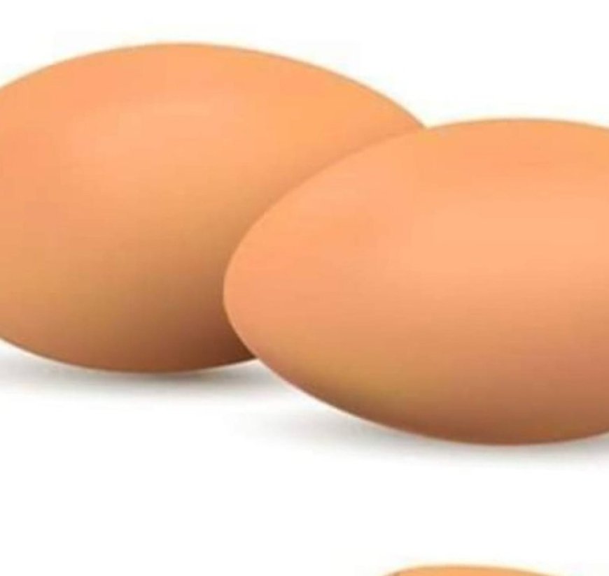 How Eggs Heal the Eyes