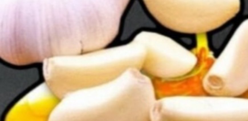 Take HONEY with GARLIC in the Morning – Here’s What Happened After 7 Days