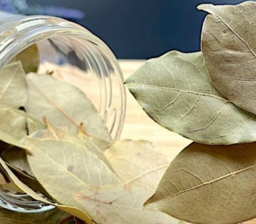 Discover the Magic of Bay Leaves for Revitalizing Your Hair