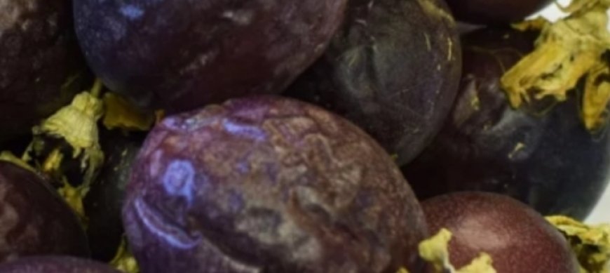 Drinks to Lower Bad Cholesterol Naturally & Reduce Clogged Arteries and Stroke: Passion Fruit Beverage