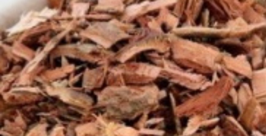 The Aspirin Alternative Your Doctor Never Told You About: Cloves