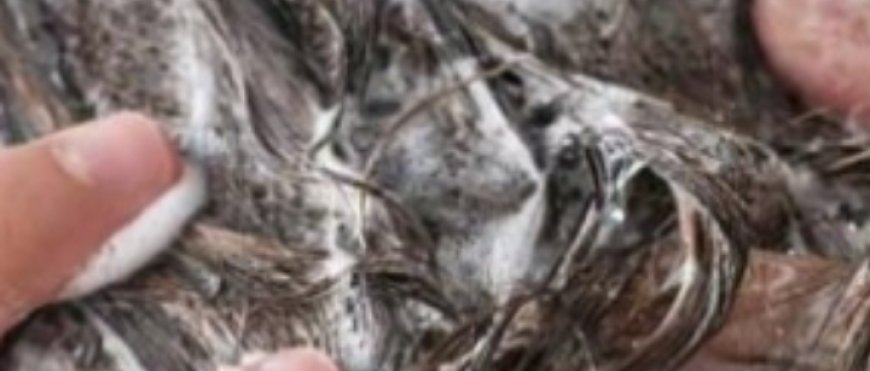 Baking Soda Shampoo: for Hair Growth