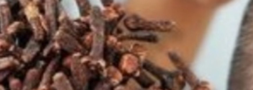 At 75, Hair Grows on a Bald Spot! How Clove Oil Can Stimulate Hair Growth