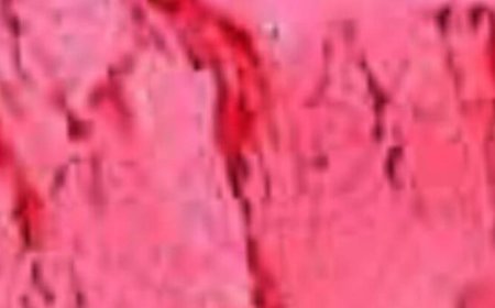 Simple Ice Cream Recipe: Only 4 Ingredients, Very Creamy, Excellent Yields