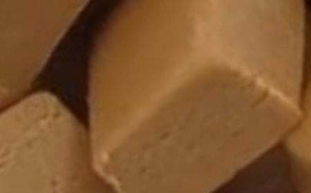 Sweet Milk Fudge Squares: A Two-Ingredient Delight!