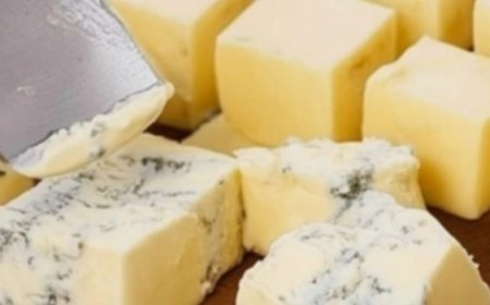 Homemade Cheese Recipe