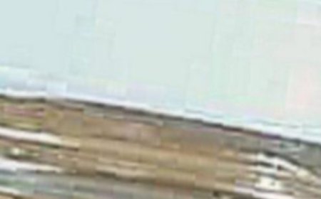 Only 2 Cups a Day for 1 Week and You’ll Need Smaller Clothes!