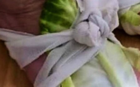 Cabbage Wraps: A Simple Remedy for Swollen Joints and Thyroid Issues