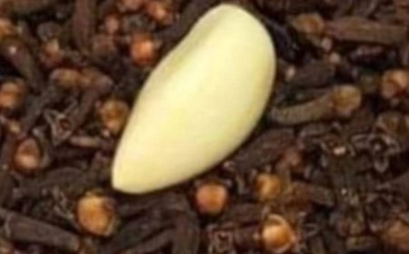 Natural Remedy for Varicose Veins: Cloves and Garlic