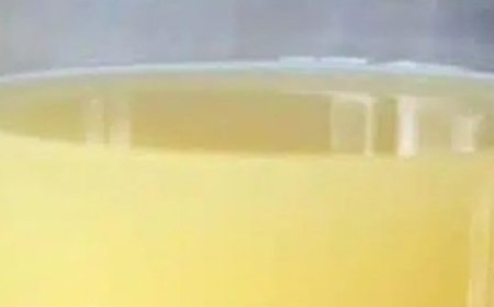 Colon Detox Juice: Apples, Ginger, and Lemon to Flush Out Toxins