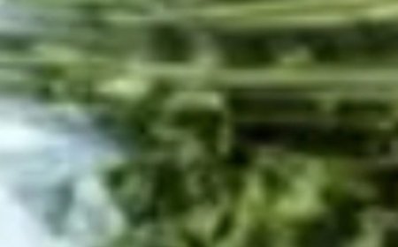 Lemon, cumin, dates, figs: 1 spoon per day