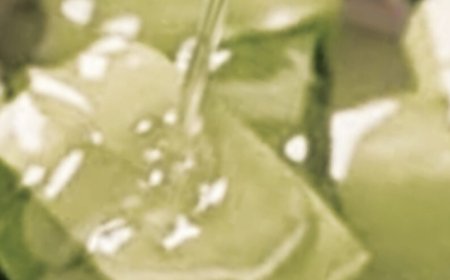 Aloe Vera and Coconut Oil: The Beauty Secret No One Tells You About