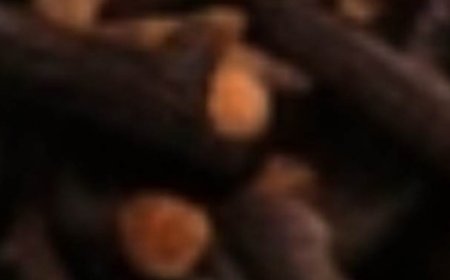 The Natural Remedy That Left Hospitals Empty – A Powerful Cure for Cancer, Diabetes, High Blood Pressure & Poor Circulation!