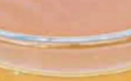 95-Year-Old Chinese Doctor’s Daily Drink for a Healthy Liver and Intestines