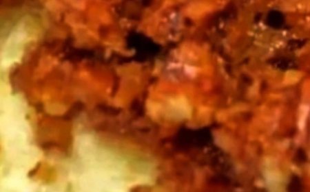 My pecan pie cheesecake!!!