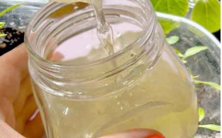 Grow Healthy Plants with Natural Nutrients from Cucumber Peels