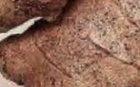 I Haven’t Been Sick for 35 Years! Clear Vision, Sharp Mind & Normal Blood Pressure