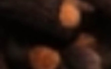 Drink Clove Water for These Amazing Benefits