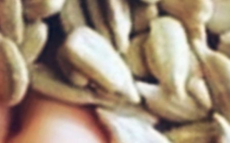 Natural Headache Remedy with Seeds