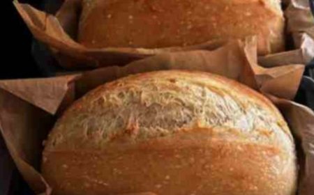 The Best No-Knead Sandwich Bread Recipe – Soft, Fluffy & Incredibly Easy!