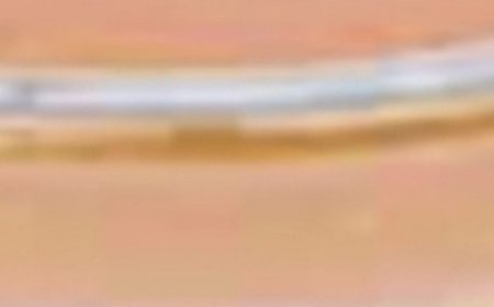 95-Year-Old Chinese Doctor’s Daily Drink for a Healthy Liver and Intestines