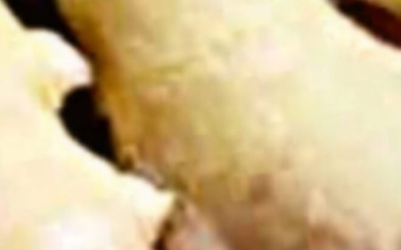 The Miracle Drink That Will Empty Hospitals in 2025 – Say Goodbye to Diseases Naturally!