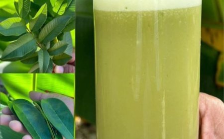 This Is the Drink That Can Help Cure Cancer, Diabetes, Poor Circulation, and High Blood Pressure Without Expensive Medications