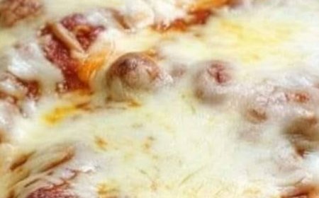 Best Mexican Lasagna Ever