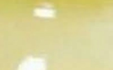 Japanese Water To Burn All The Fat From Your Stomach, Back And