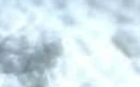 Recipe: Anti-Inflammatory Drink for Knee & Joint Pain Relief