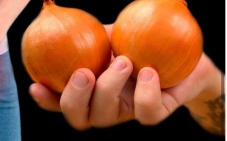 Revitalizing Bladder and Prostate Health: Grandpa’s Time-Honored Onion Recipe