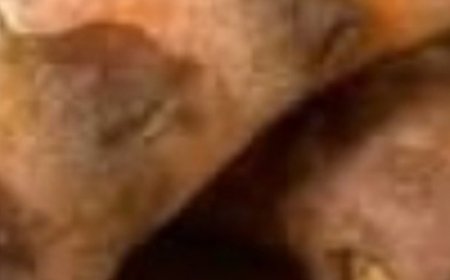 Revitalize Your Body with This Simple and Refreshing Detox Drinks