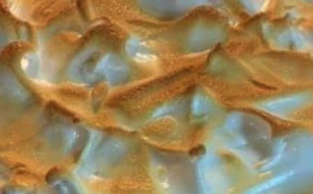 LEMON MERINGUE CHEESECAKE